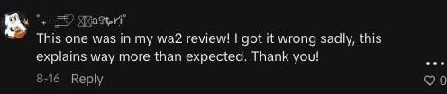 Original TikTok comment from @mugmanswifez: This one was in my wa2 review! I got it wrong sadly, this explains way more than expected. Thank you!